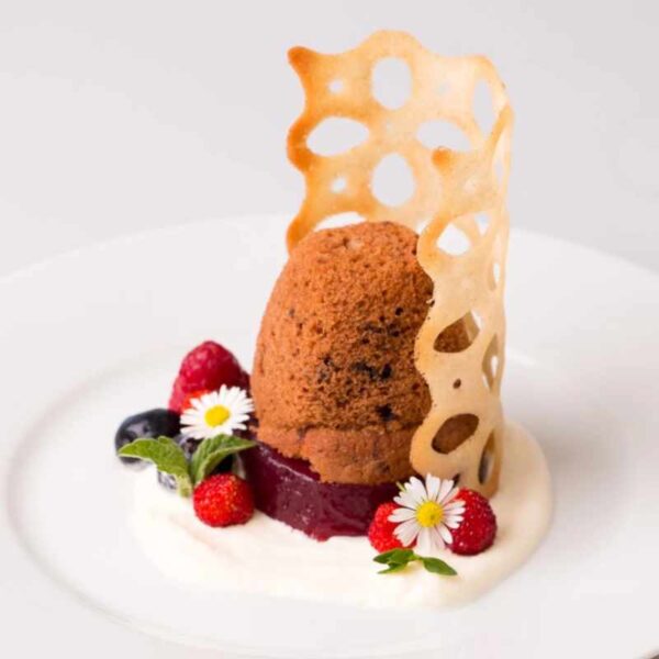 procusine gastro