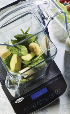 santos brushless blender snaga