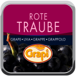 BUTT GRI Traube 150x150 1